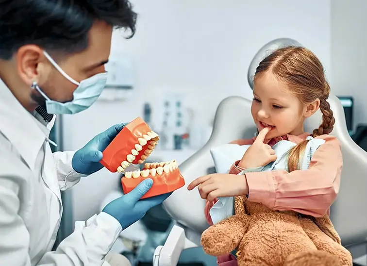 girl looking at a dental arch model